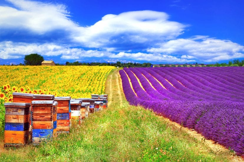 Provence, France