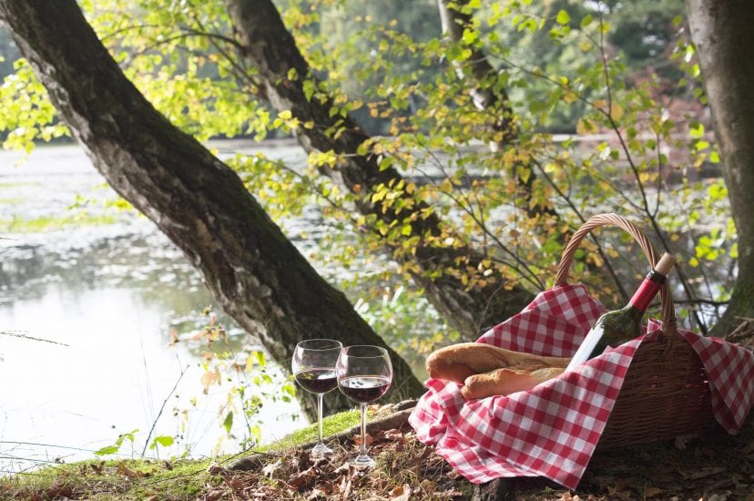 picnic at lake